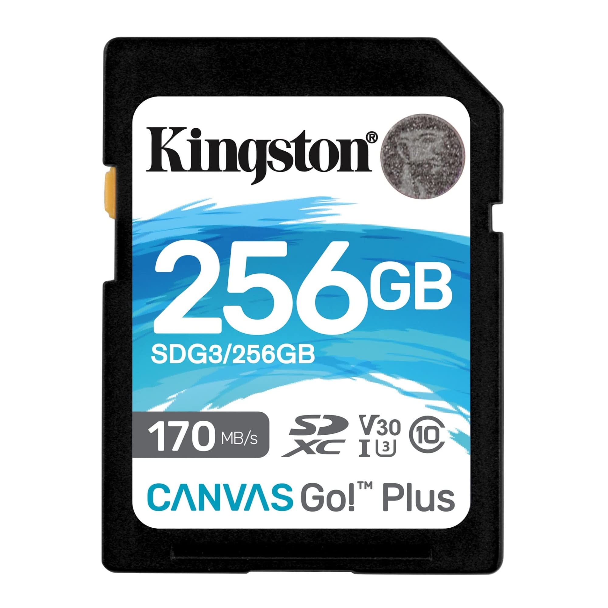 chic  Kingston SDG3/256GB Carte mémoire SD Card (256GB SDXC Canvas Go Plus 170R C10 UHS-I U3 V30 ) SnlmuIEeR Haute Quaity