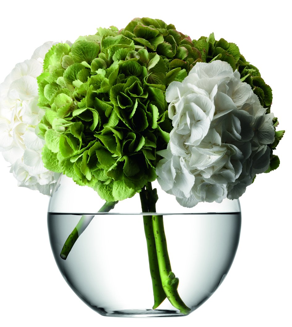 escompte élevé LSA FW05 Vase rond Flower, hauteur 22 cm, transparent x5jFBVqBL vente chaude
